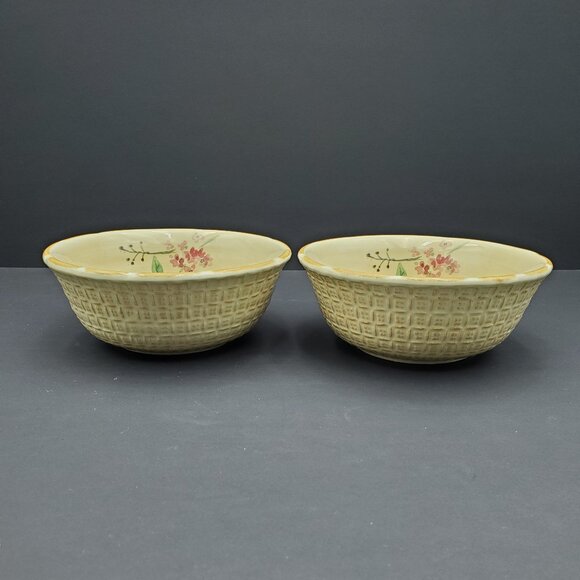 Pfaltzgraff Silk Rose Soup Cereal Bowls Textured Floral Cream Bowls - Picture 5 of 7